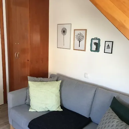 Apartma Hiska 1&2 Prázdninový dům